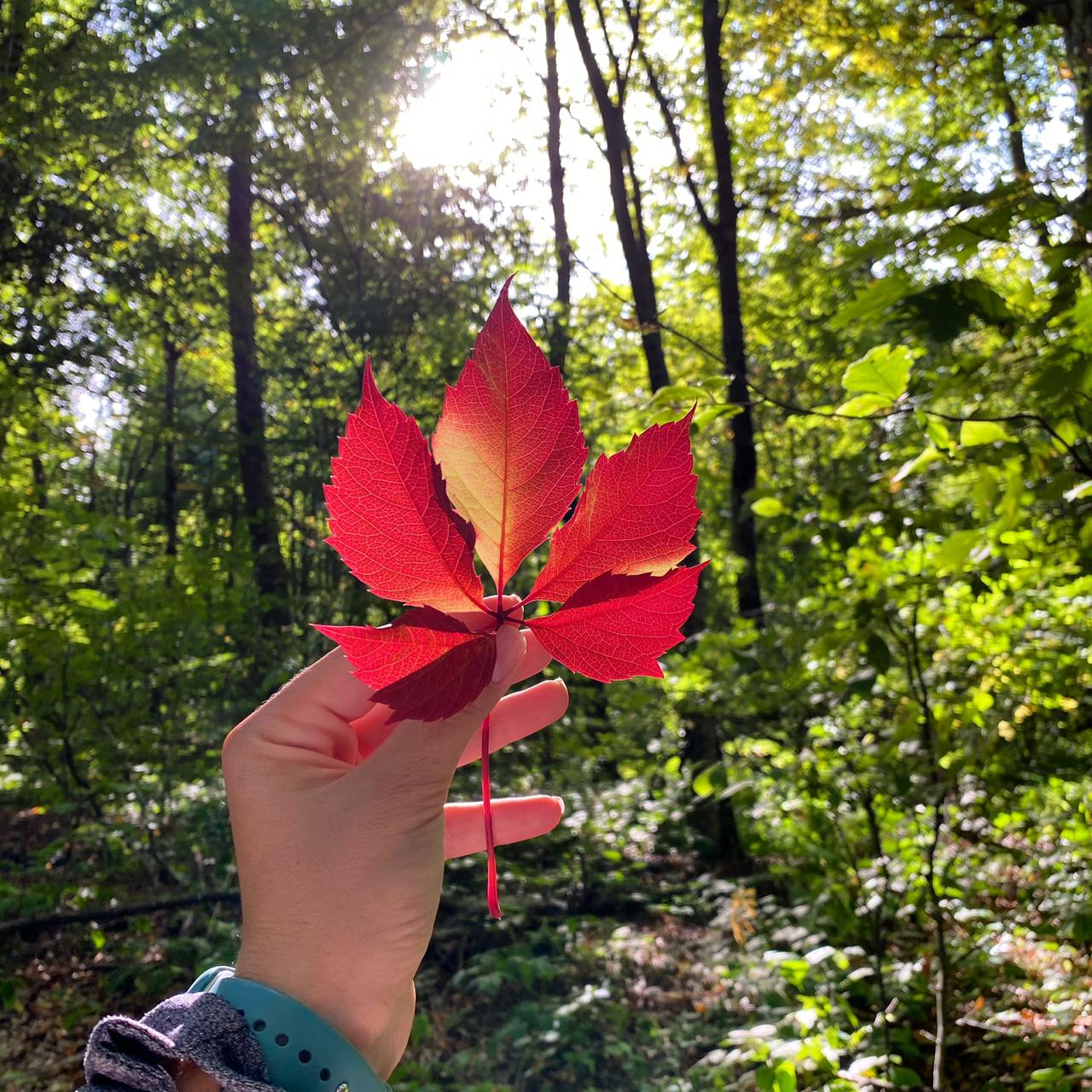 Осенний сезон закрыт