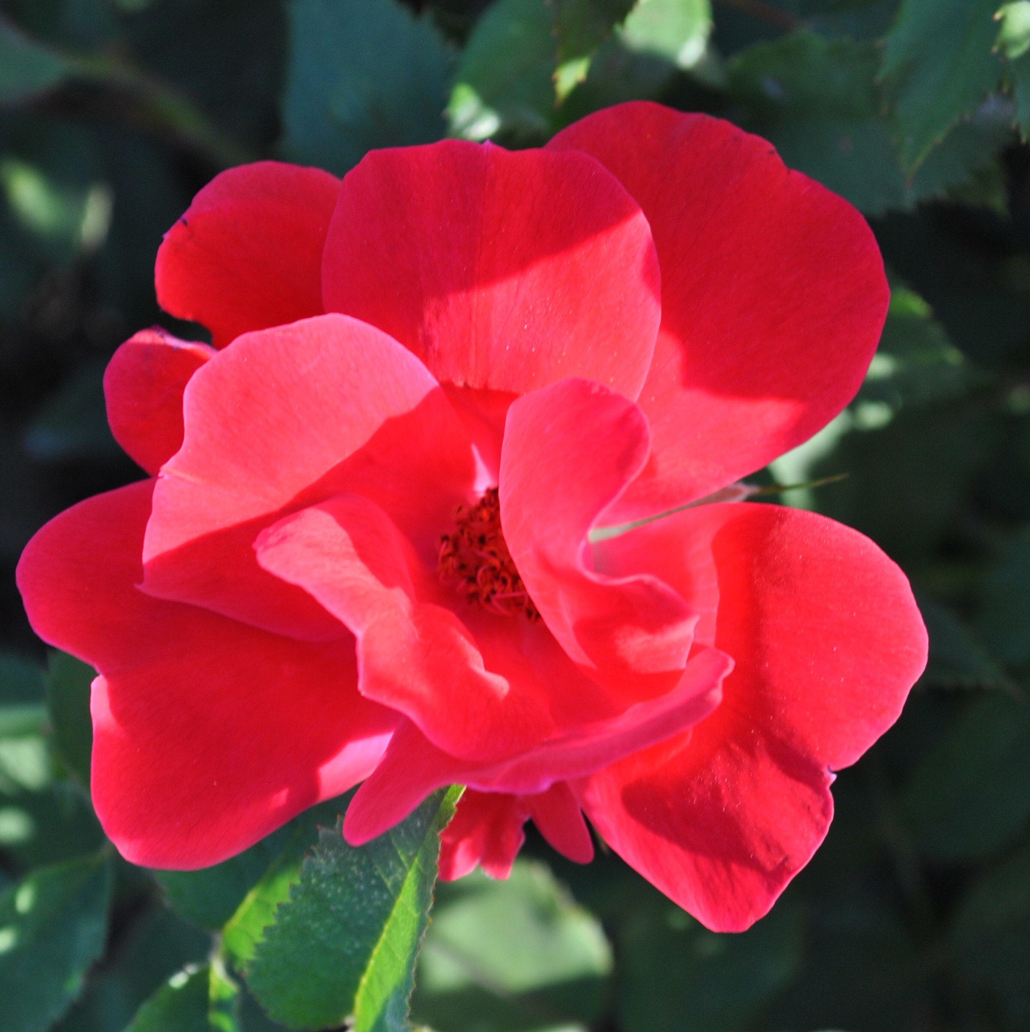 Нок Аут  (Knock Out) в Владивостоке