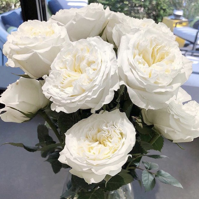 Майра Вайт  (Mayra’s White) в Владивостоке