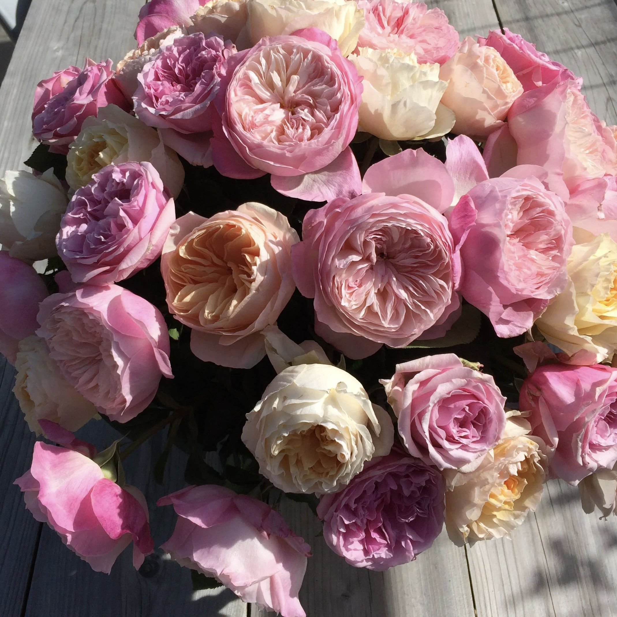 Констанс в Владивостоке